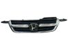 Front bumper upper radiator grill 