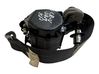 Rear seatbelt 6073543