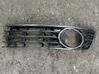 Front bumper lower grill 