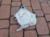Engine mount bracket 13248506