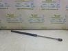 Tailgate/trunk strut/damper BM51N406A10AD