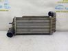Intercooler radiator BV619L440CJ