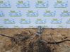 Air conditioning (A/C) pipe/hose 