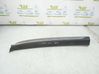 Front door trim (molding) 