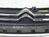 Front grill 9812063477