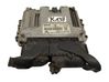 Engine control unit/module 391132A412