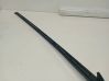 Windshield trim AEPDS