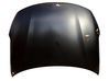 Motorhaube 66400D5000