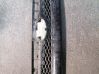 Front bumper upper radiator grill 91122FJ020