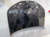 Engine bonnet/hood 8737174