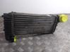 Intercooler radiator BV619L440CJ