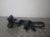 Sicherheitsgurt hinten 751262