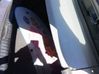 Tailgate/trunk/boot lid 