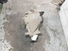 Rear differential 753798501