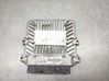 Engine control unit/module 5WS40029NT