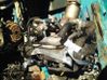 Engine BHDB