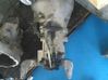Manual 5 speed gearbox 129402558