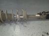 Rear shock absorber/damper 