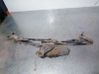 Motor del limpiaparabrisas 0390241708