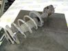 Front shock absorber with coil spring 