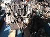 Engine D14A7
