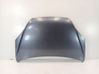 Motorhaube 60100SWWG00ZZ