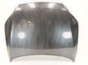Capó/tapa del motor 4L0823029A