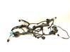 Front door wiring loom 4M0971030JF
