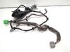 Front door wiring loom 8697909