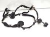 Rear door wiring loom 31313719