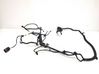 Rear door wiring loom 148905300E
