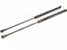 Tailgate/trunk strut/damper 