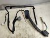Rear door wiring loom 81823FG000