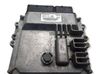 Engine control unit/module 6725400032