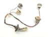 Tail light bulb cover holder 