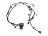 Other wiring loom P203243801A