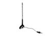 Radion antenni 
