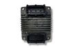 Engine control unit/module D01011