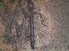 Fuel main line pipe 55200517