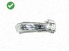 Spiegelblinker E40161858