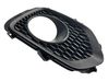 Front fog light trim/grill 865232P010
