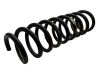 Rear coil spring 