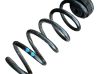 Front coil spring 8K0512149C