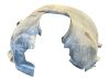 Priekinis posparnis AM51R16114BG