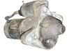 Starteris M001T30771