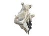 Windshield washer fluid reservoir/tank 