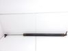 Tailgate/trunk strut/damper 