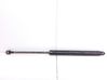 Tailgate/trunk strut/damper 51243110327