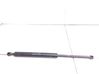 Tailgate/trunk strut/damper 2K0883169B