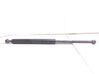 Tailgate/trunk strut/damper 2K0883169C